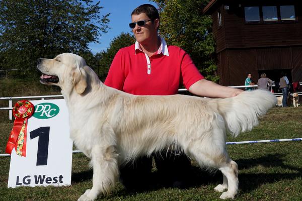28.9.2013 Kreuztal 1 EX CAC and Germain Club Champion