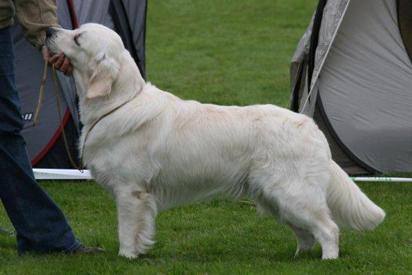 In Hoisdorf werd hij Duits Jeugdkampioen  Het gras stond hier wel te hoog