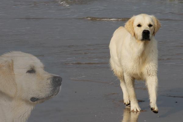 On the beach - 13 months